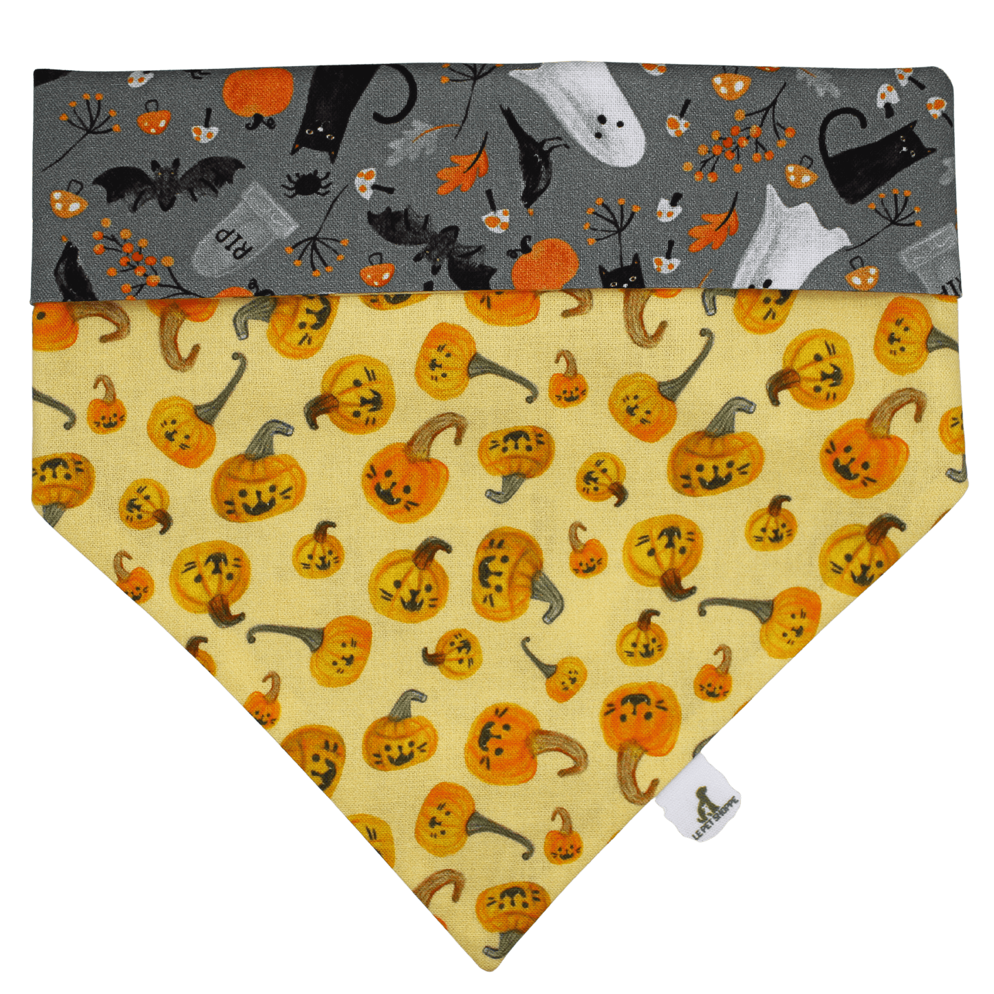 Bandana « Citrouillard »