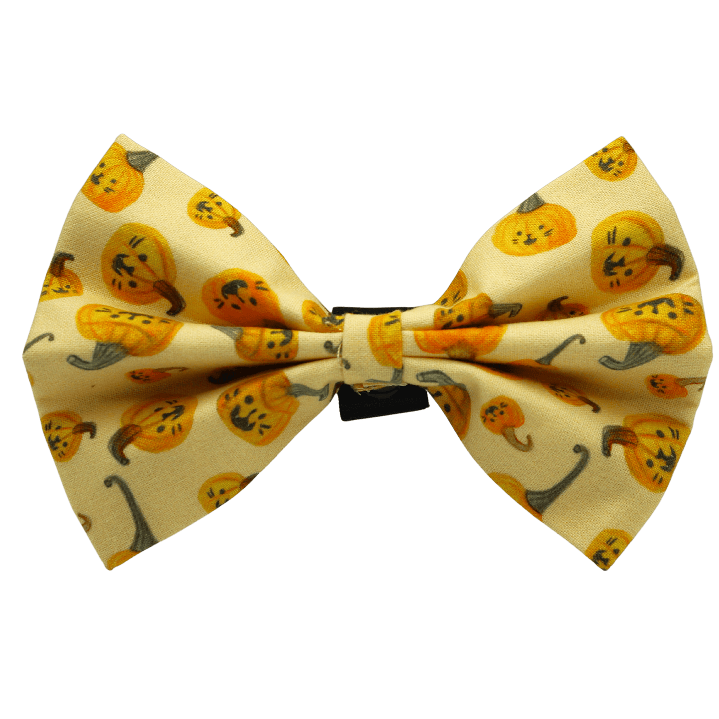 Nœud papillon « Citrouillard »