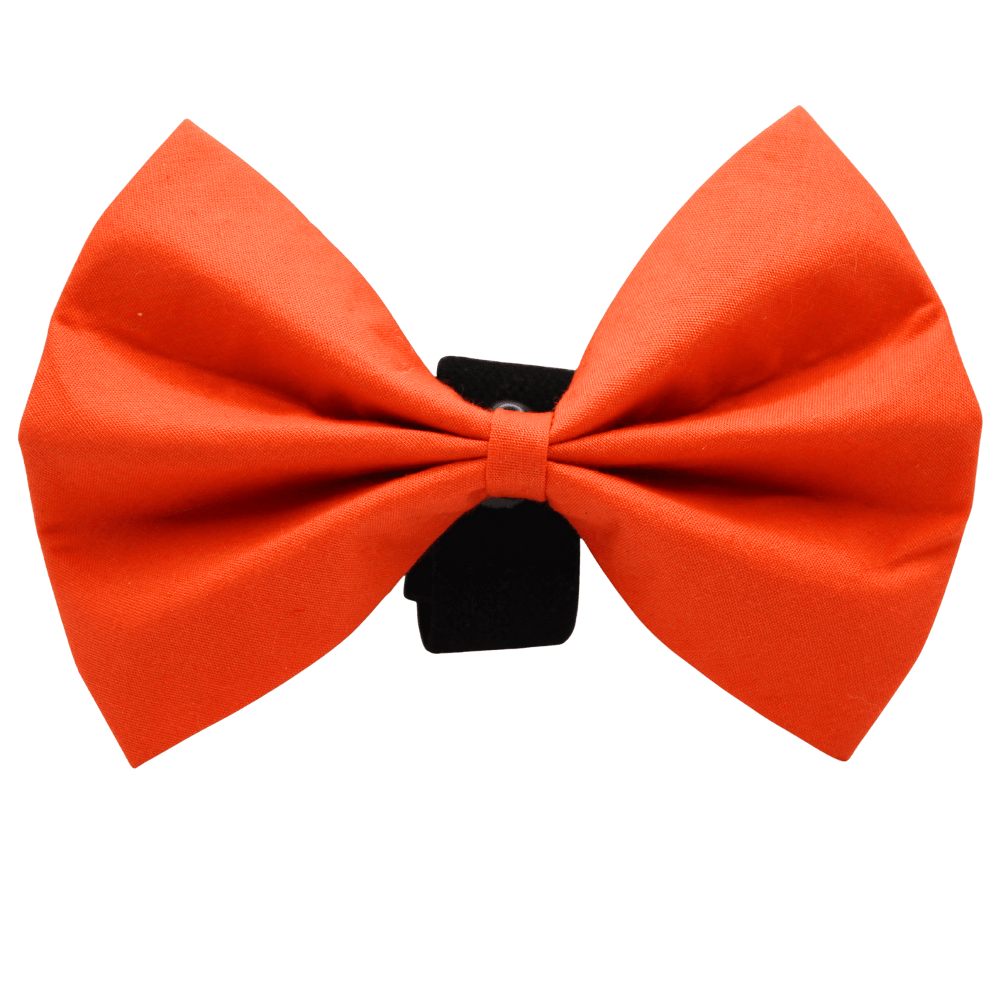 "Clementine" bow tie