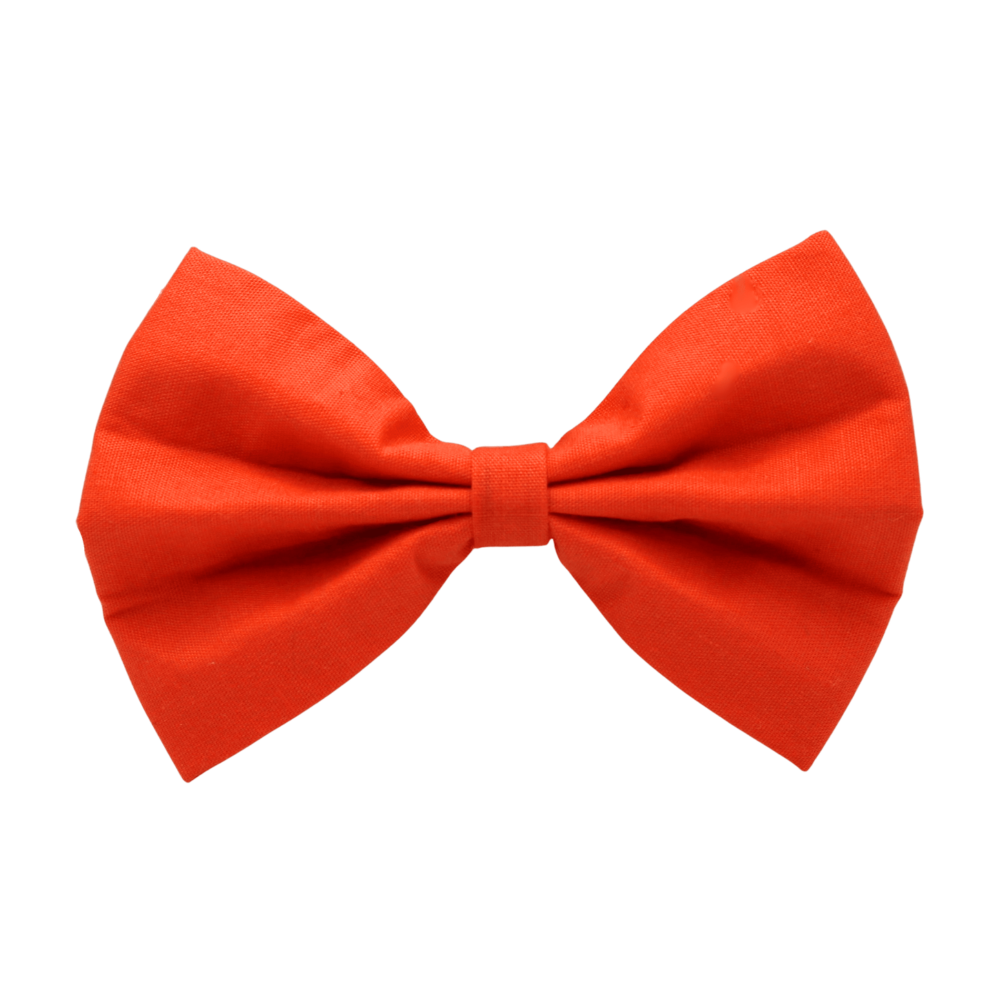 "Clementine" bow tie