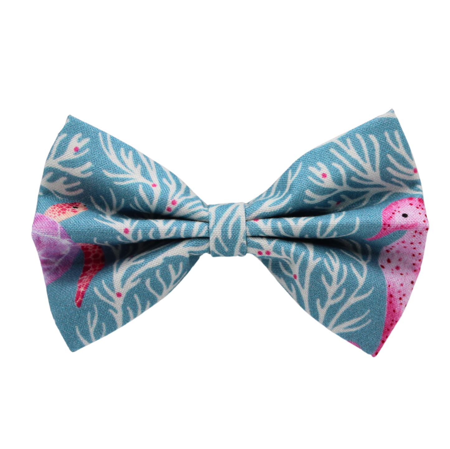 Nœud papillon « Médusa »