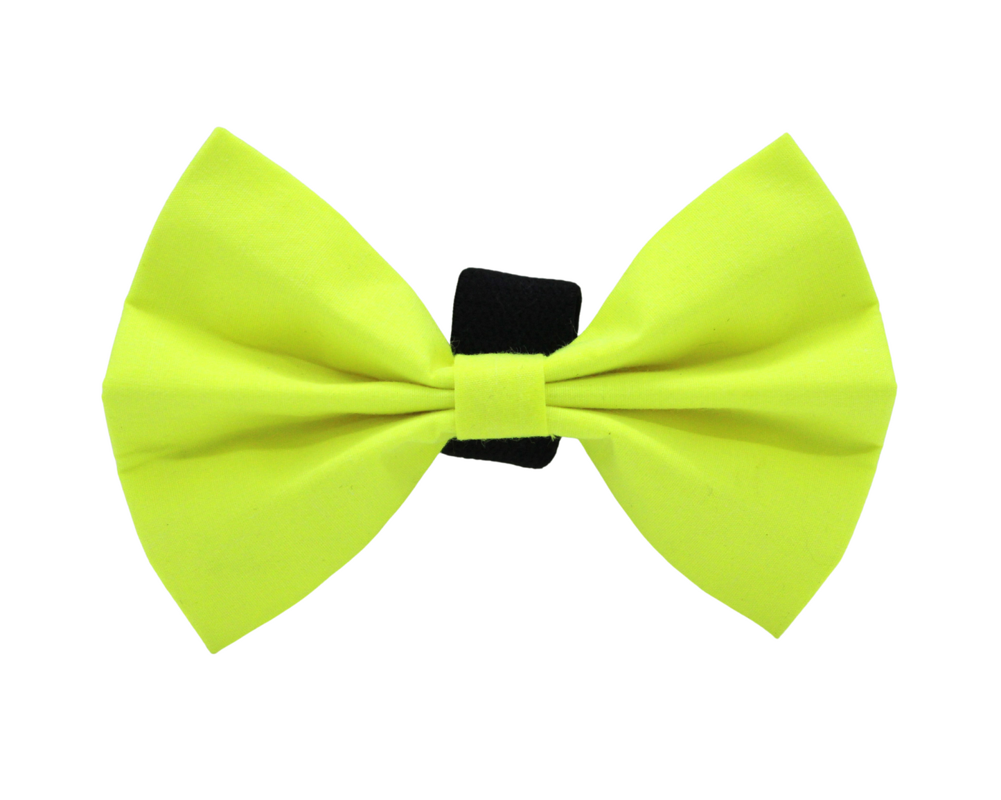 Nœud papillon « Néon »