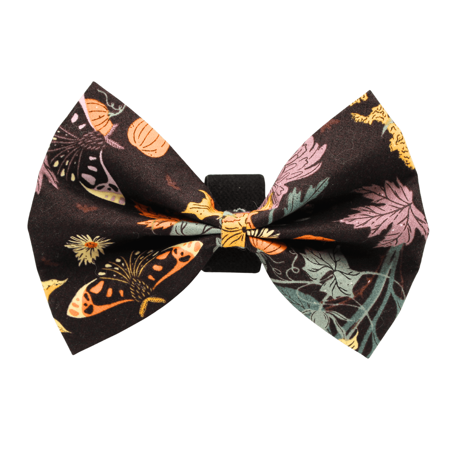 Nœud papillon « Sorcellerie »