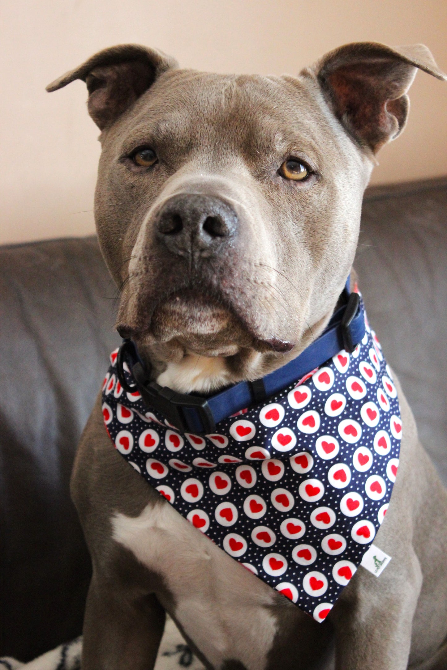 ''ILY'' bandana