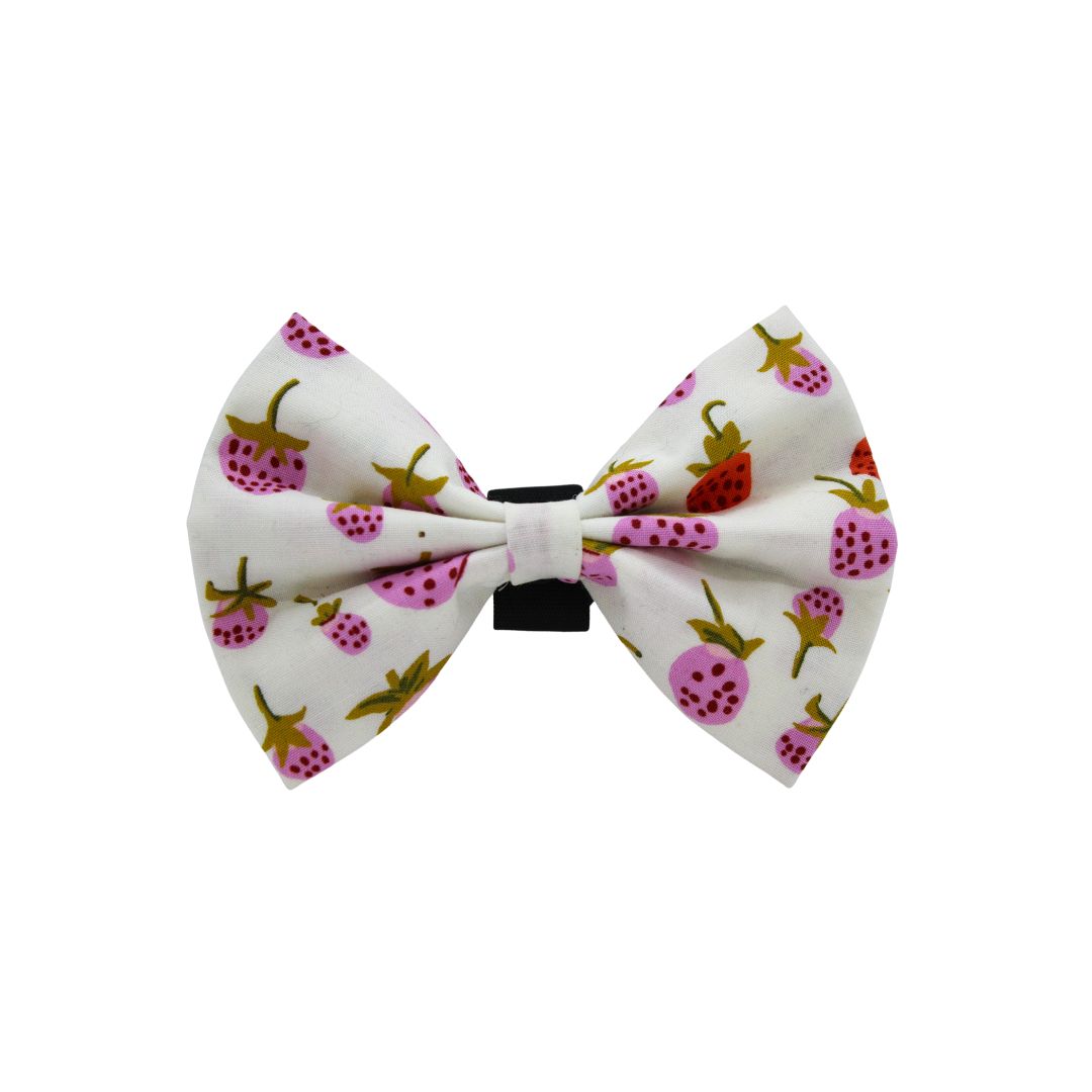 Nœud papillon « Baies enchantées »