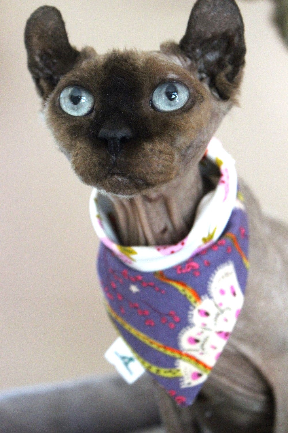 Bandana « Baies enchantées »