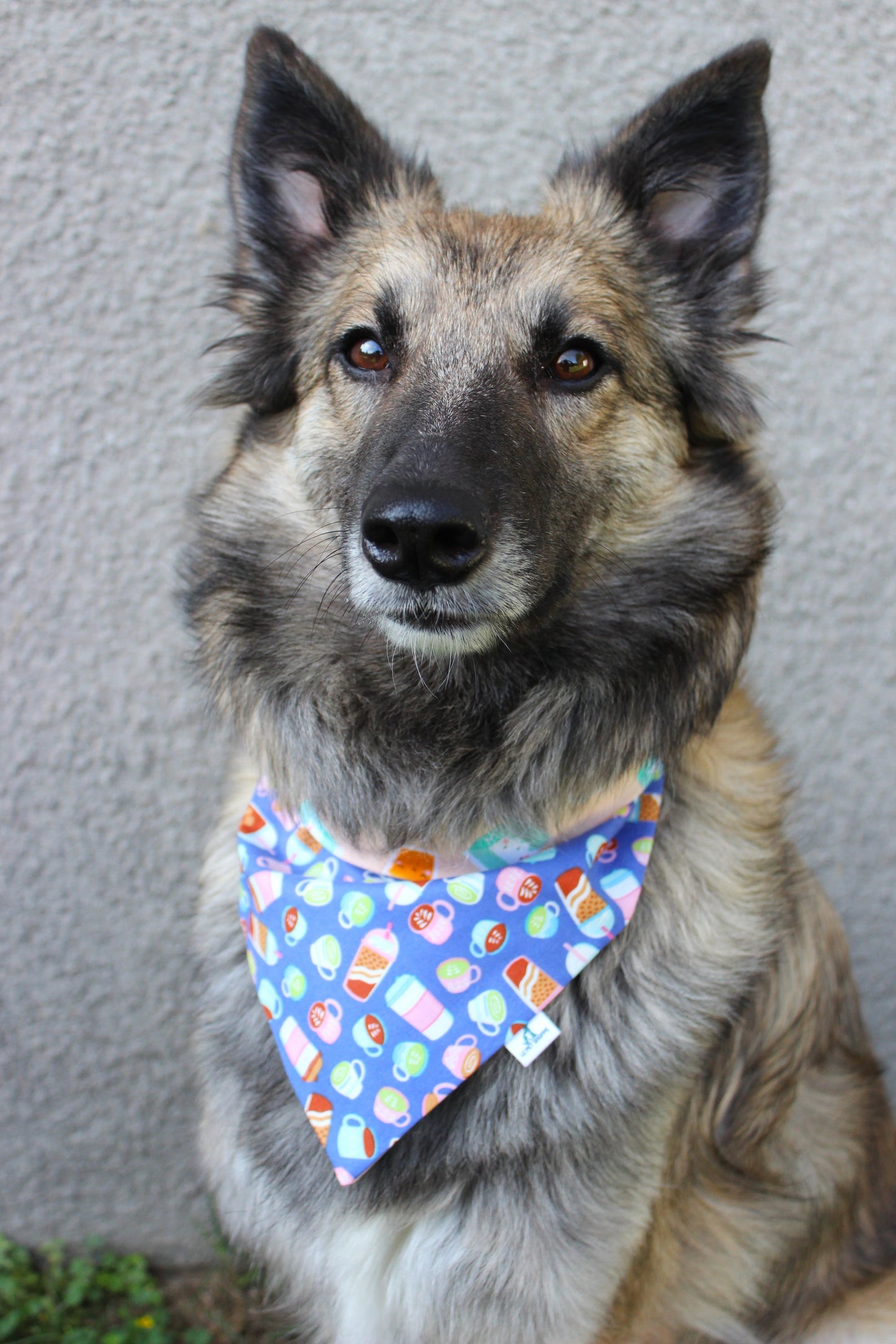 Bandana « Café, etc. »