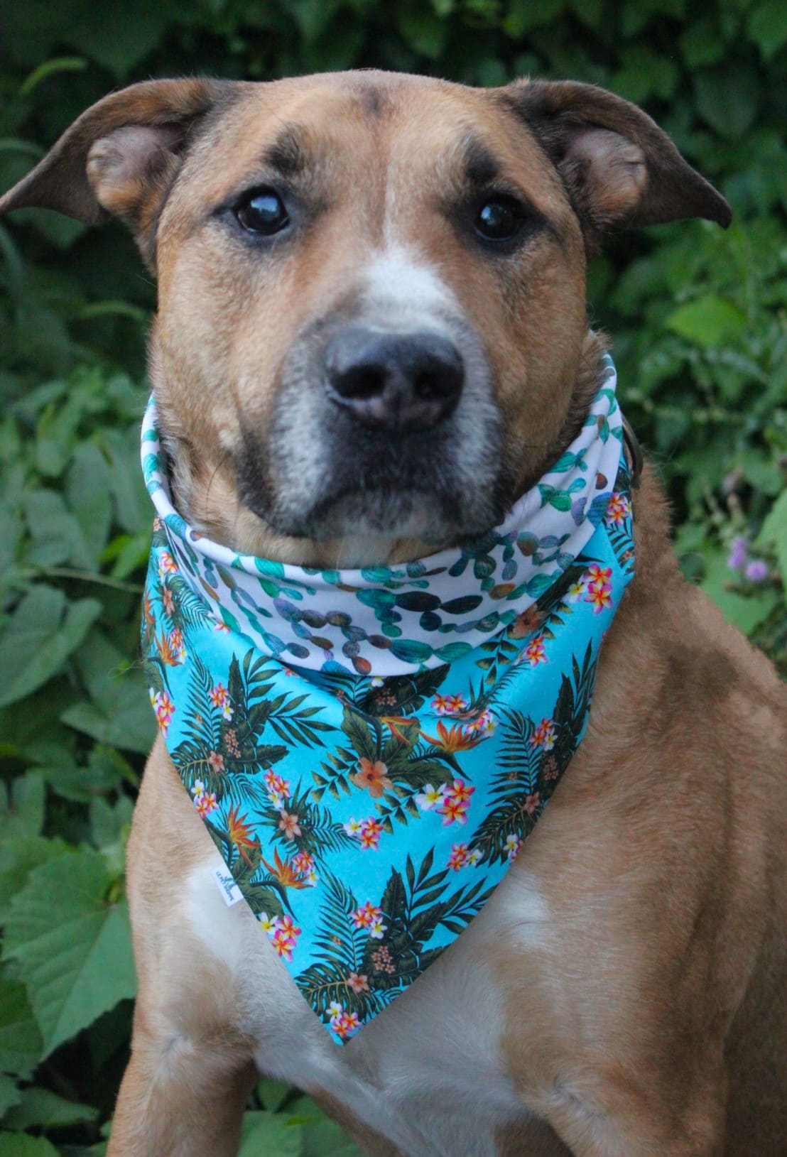 Bandana « Dans la jungle »