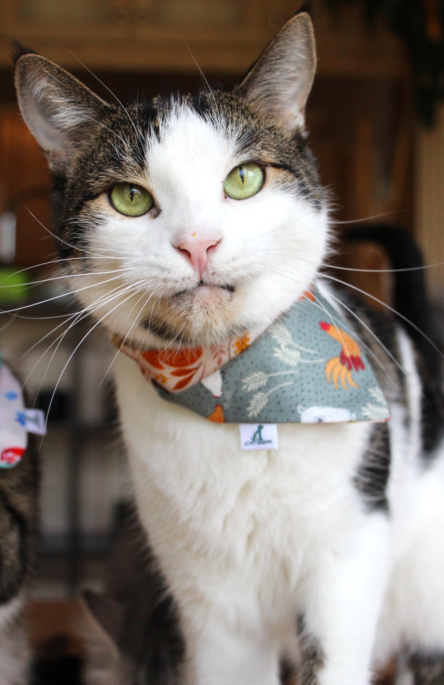 Bandana « Drôles de bêtes »