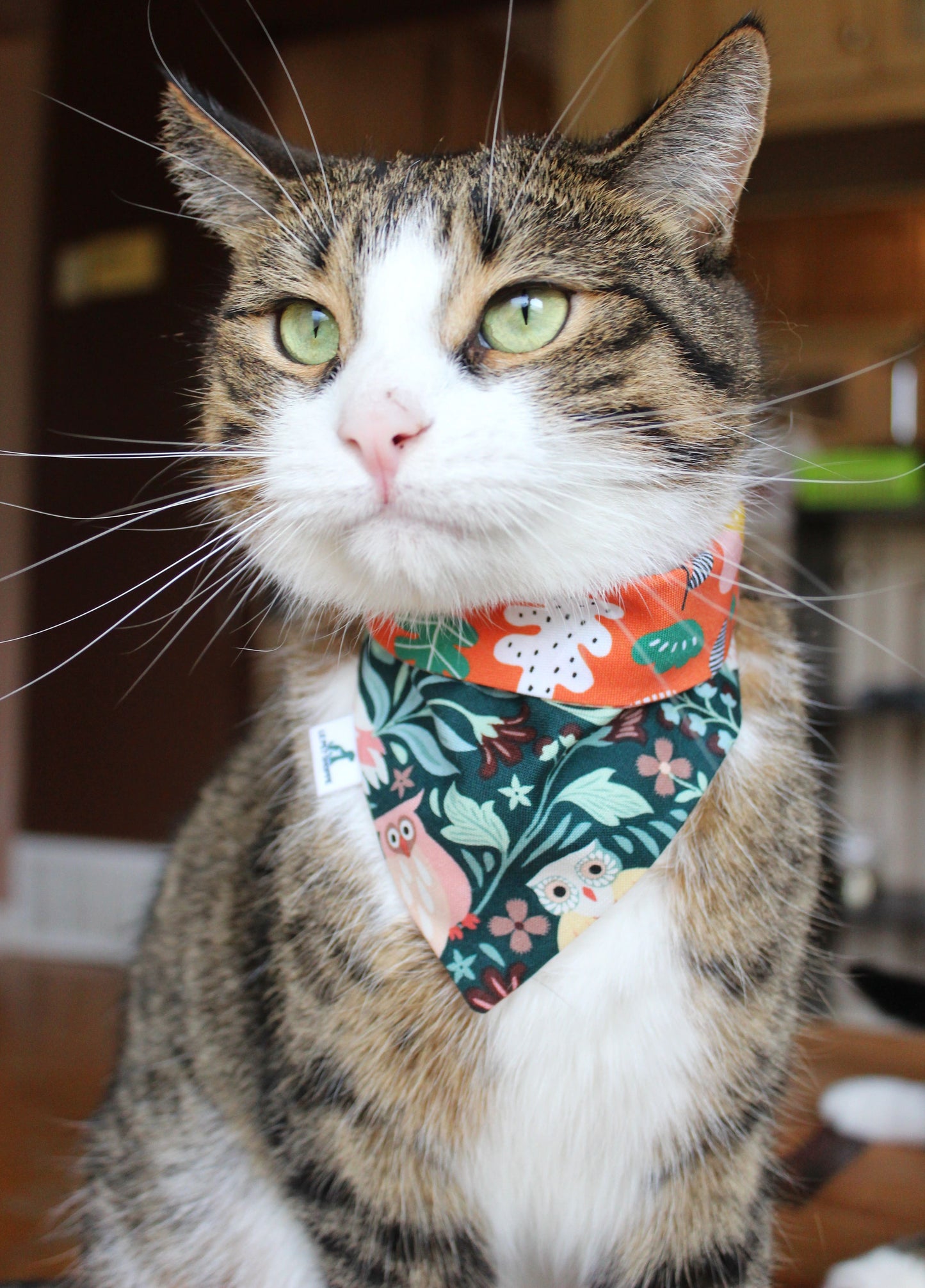 Bandana « Oiseau de nuit »