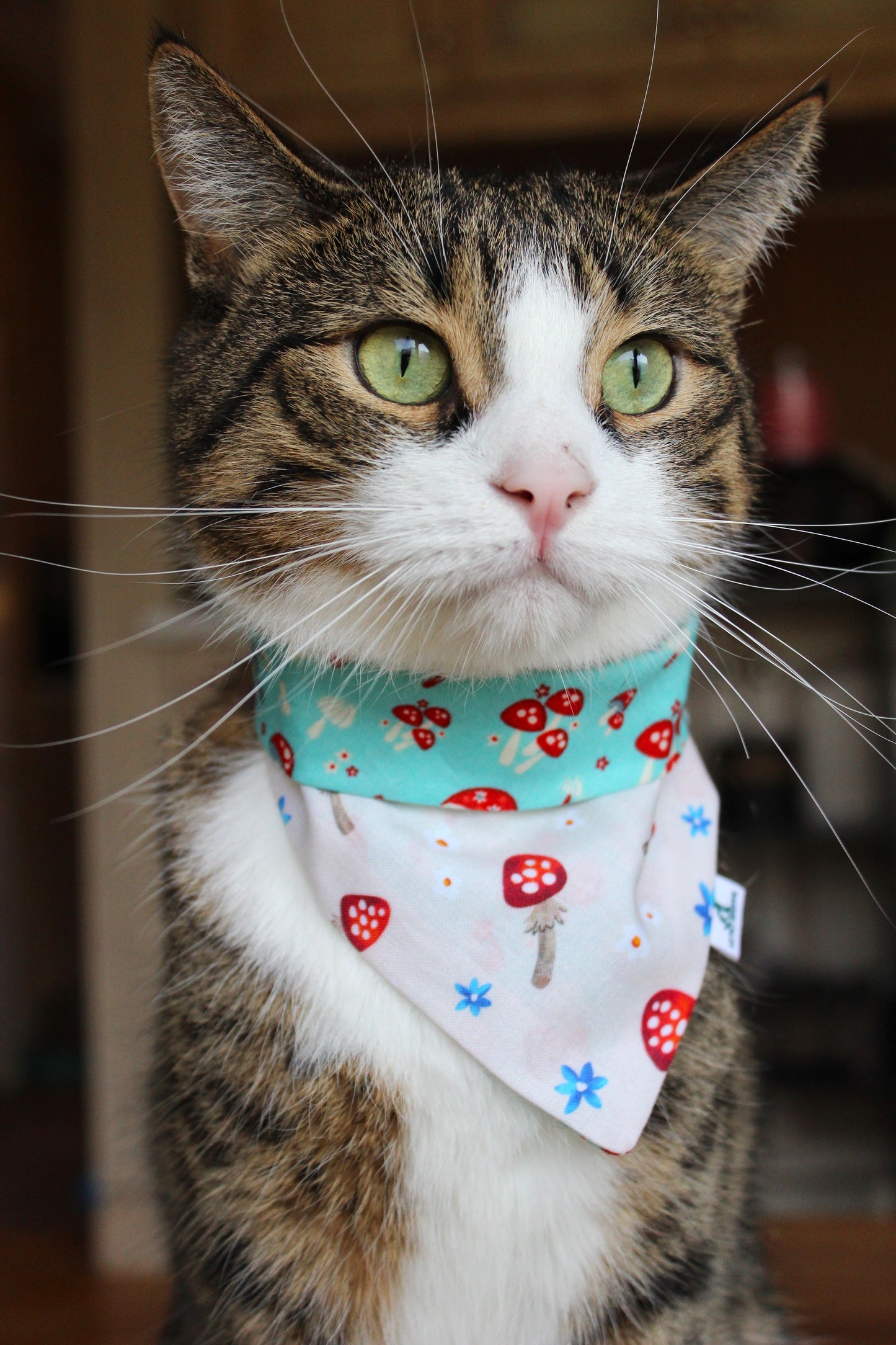 Bandana « Porto-hello »