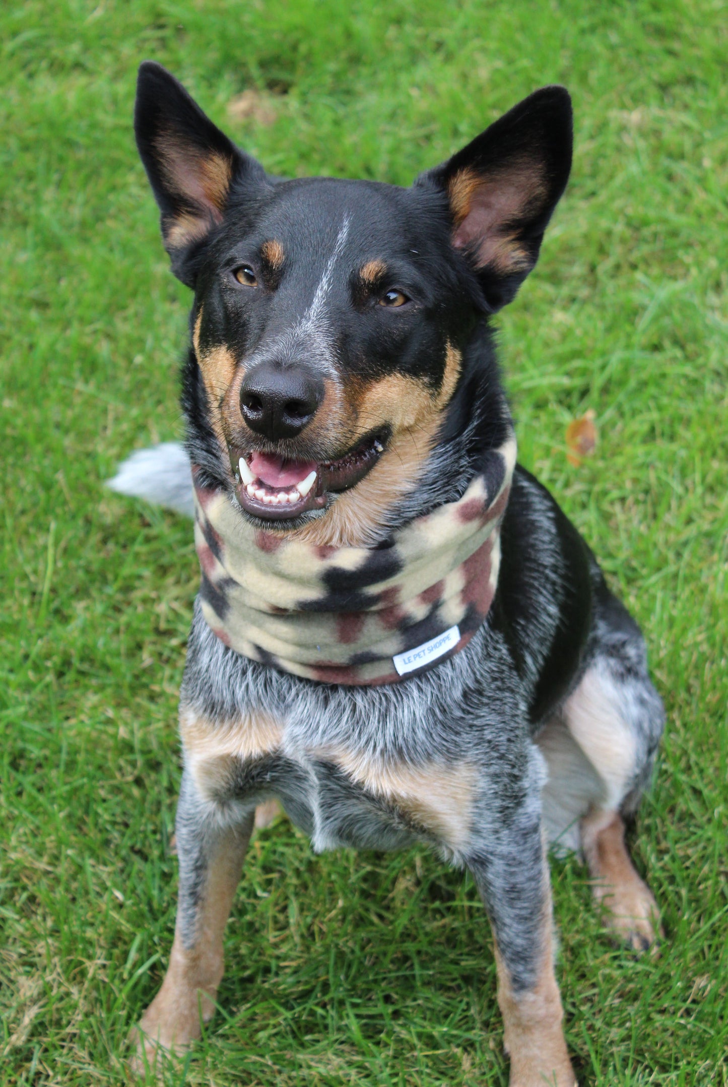 Cache-cou « Bataillon »