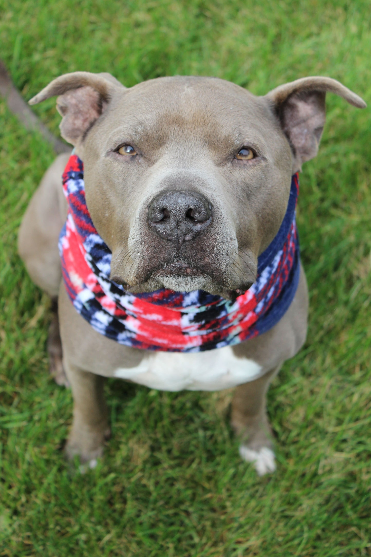 Cache-cou « Indigo »