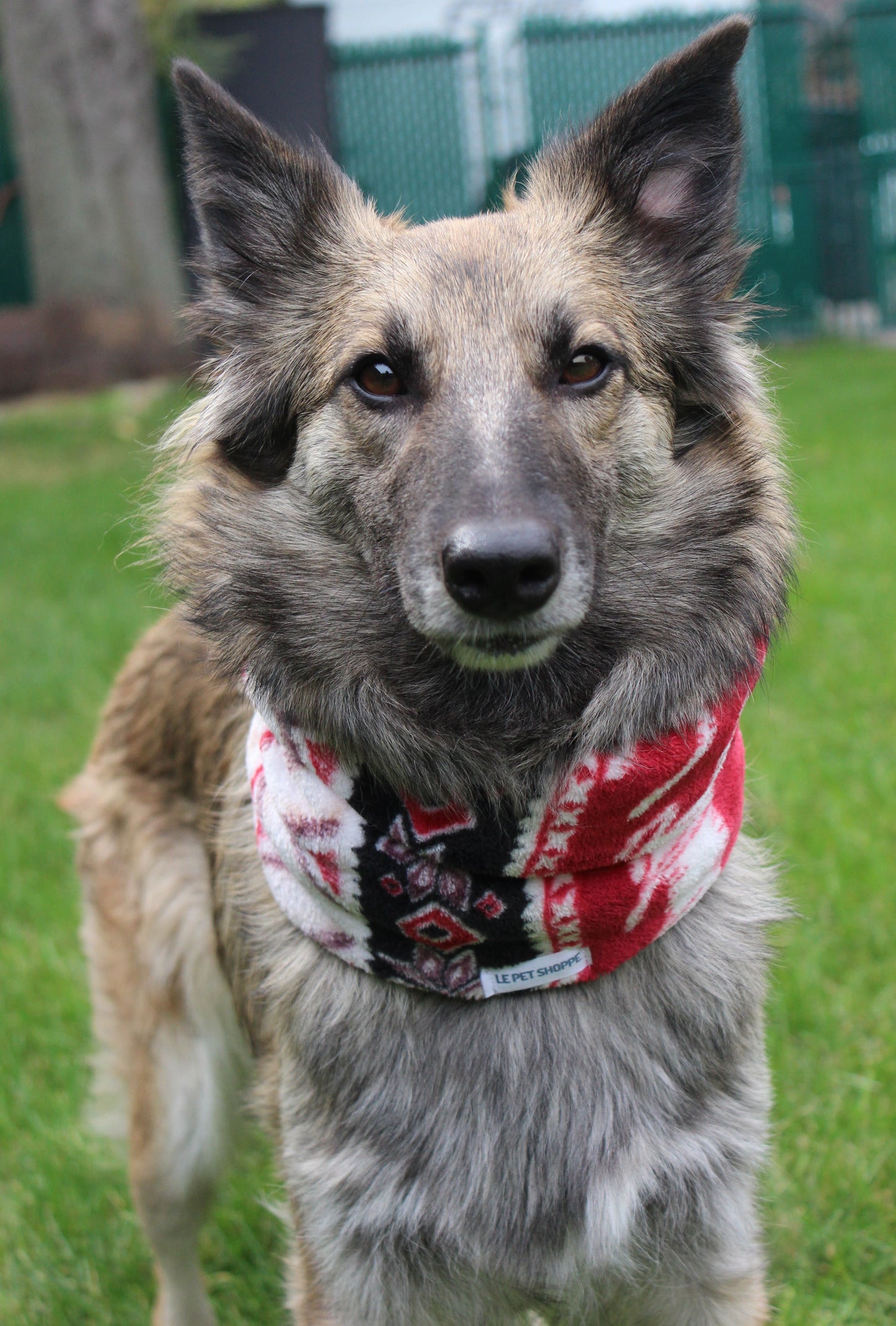 Cache-cou « Nordique »