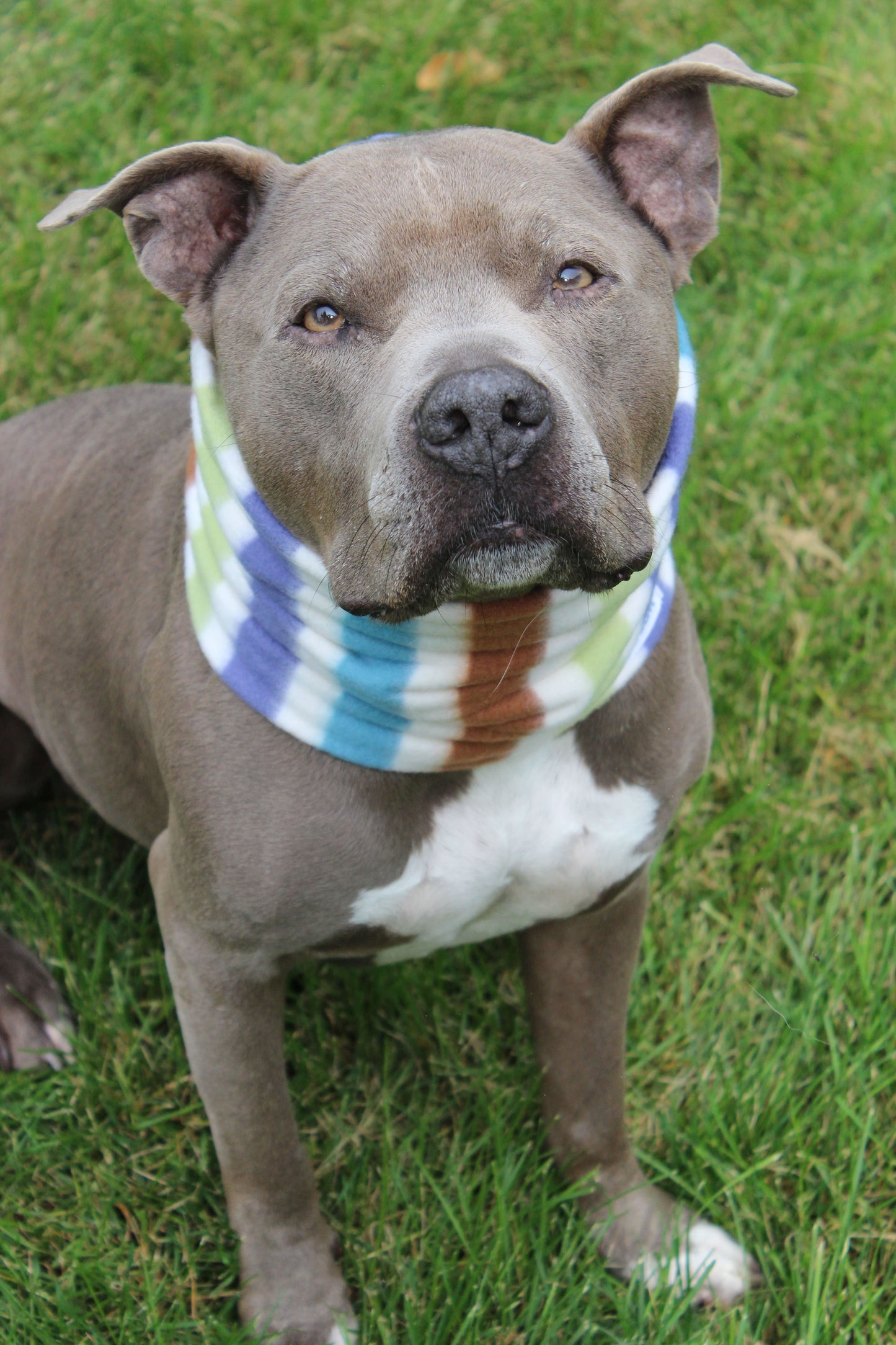 Cache-cou « Soho »