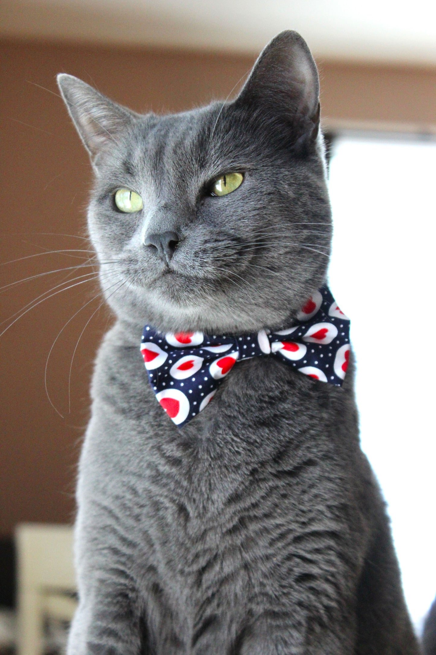 Nœud papillon « JTM »