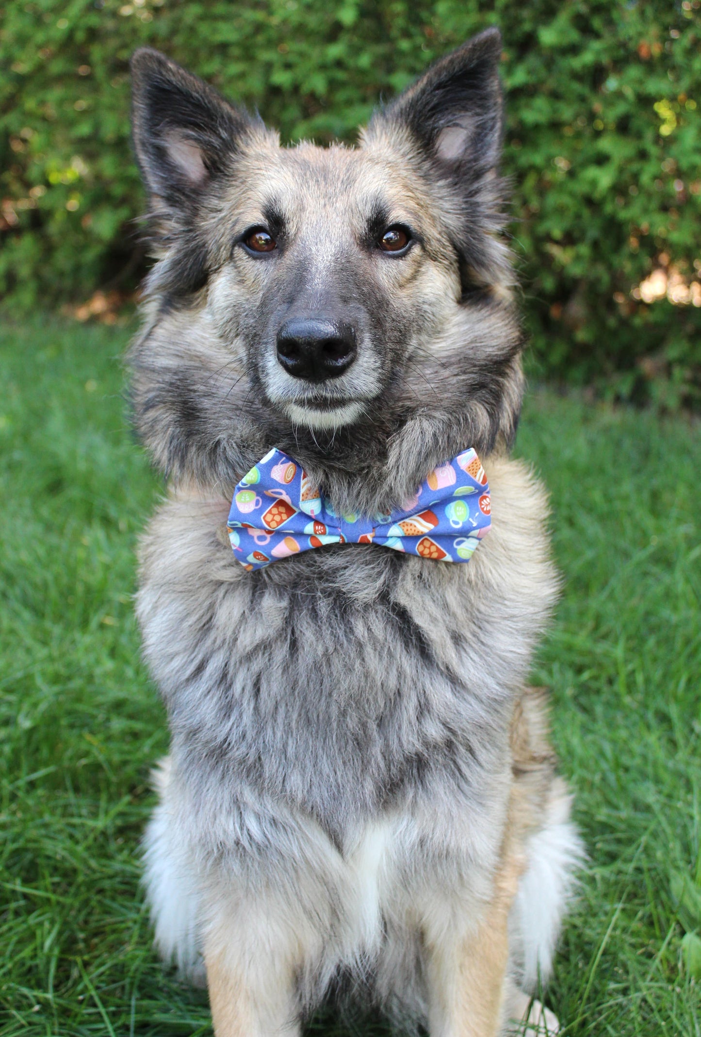 Nœud papillon « Café, etc. »