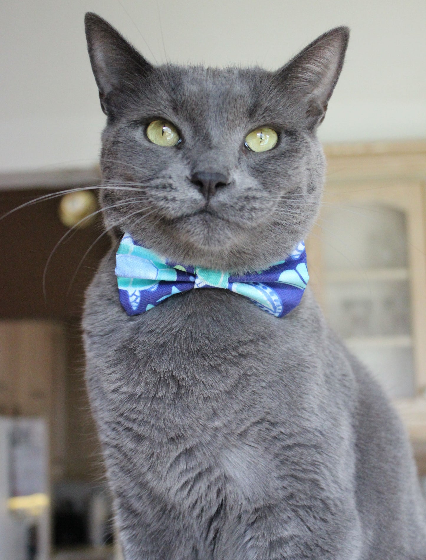 Nœud papillon « Écaille de tortue »