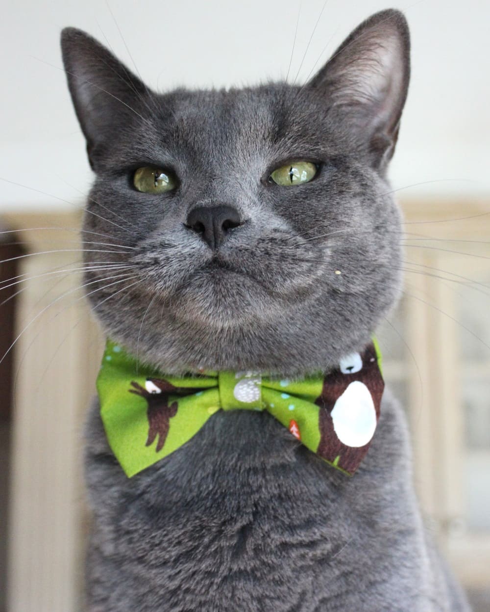 Nœud papillon « Forêt fantastique »