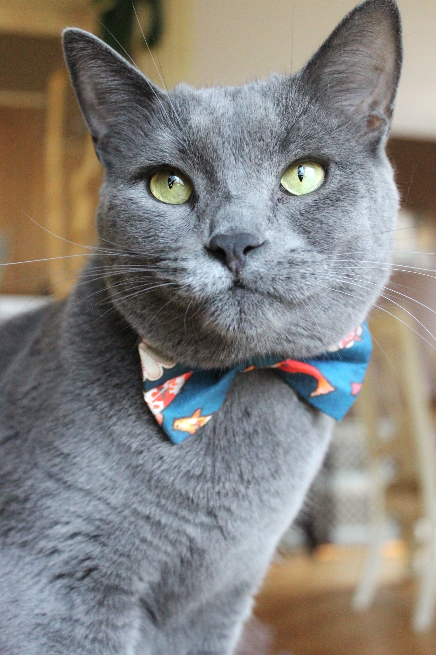 ''Koi'' bow tie