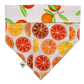 Bandana « Zeste »