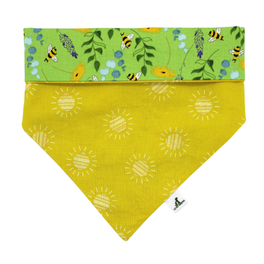 ''Equinox'' bandana