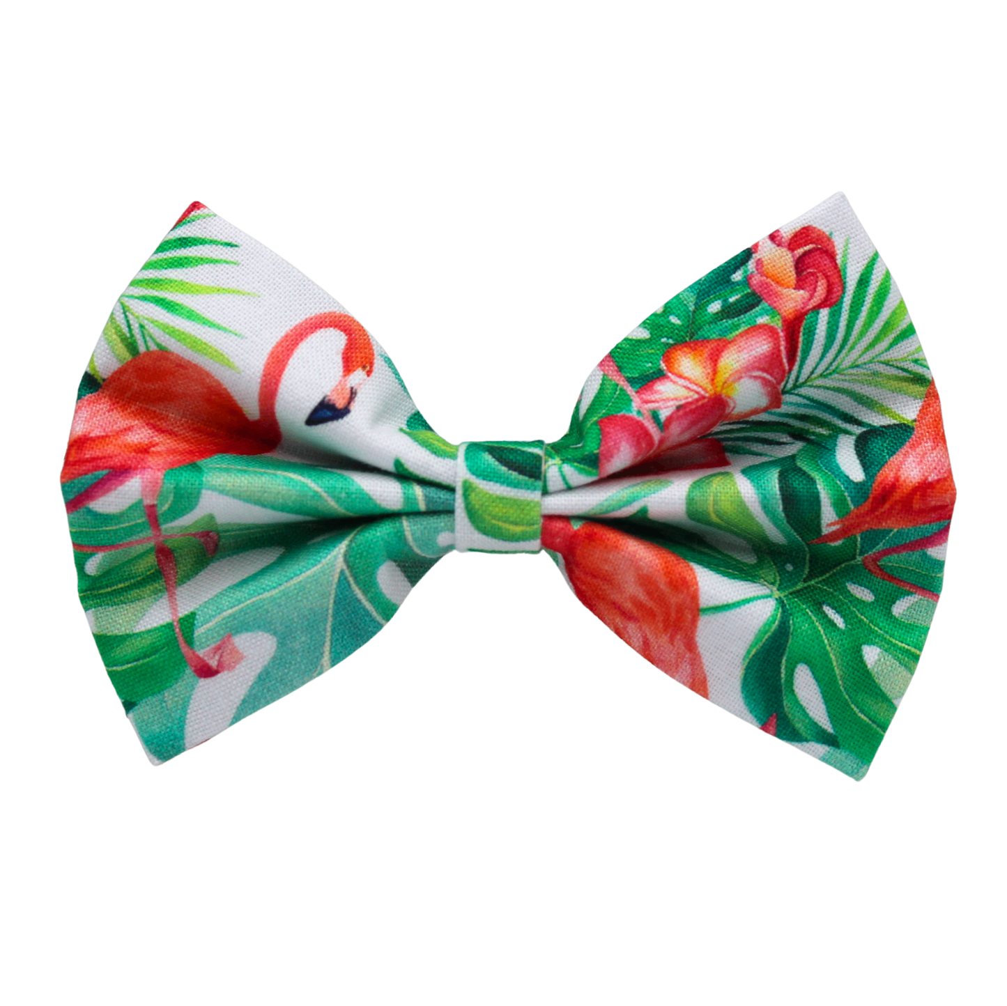 Nœud papillon « Flamingo »