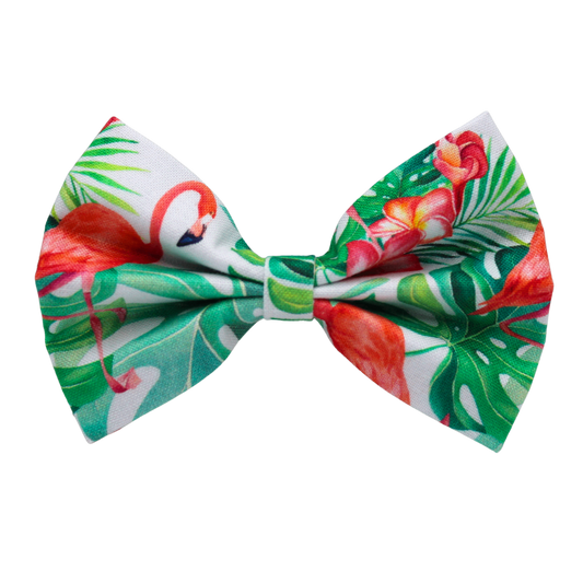 Nœud papillon « Flamingo »