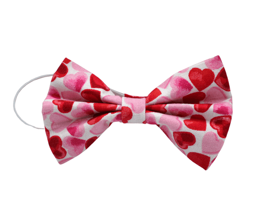 ''XOXO'' bow tie