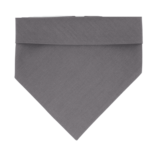 ''Silver'' bandana