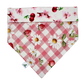 Bandana « Baies sucrées »