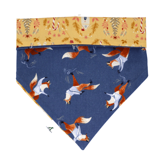 ''Blizzard'' bandana