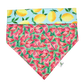 Bandana « Citron melon »