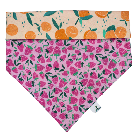 Bandana « Confiture »