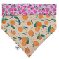Bandana « Confiture »
