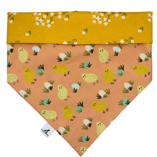 Bandana « Petit poulet »