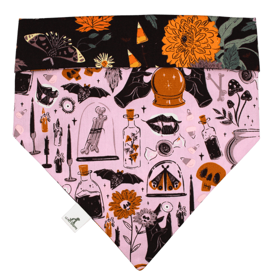 Bandana « Sorcellerie »