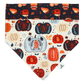 Bandana « Tartelette »