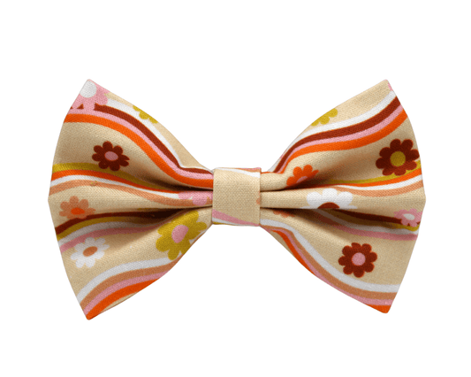 "1970" bow tie 