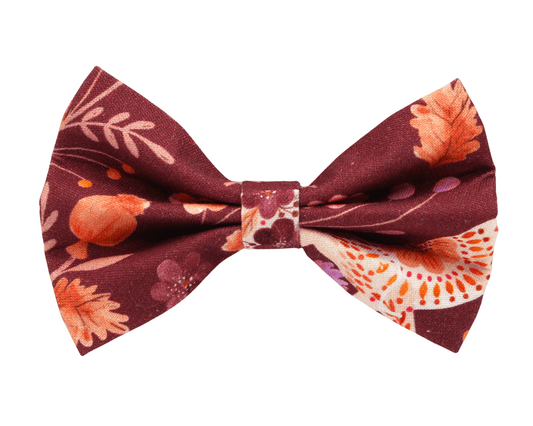 ''Chanterelle'' bowtie