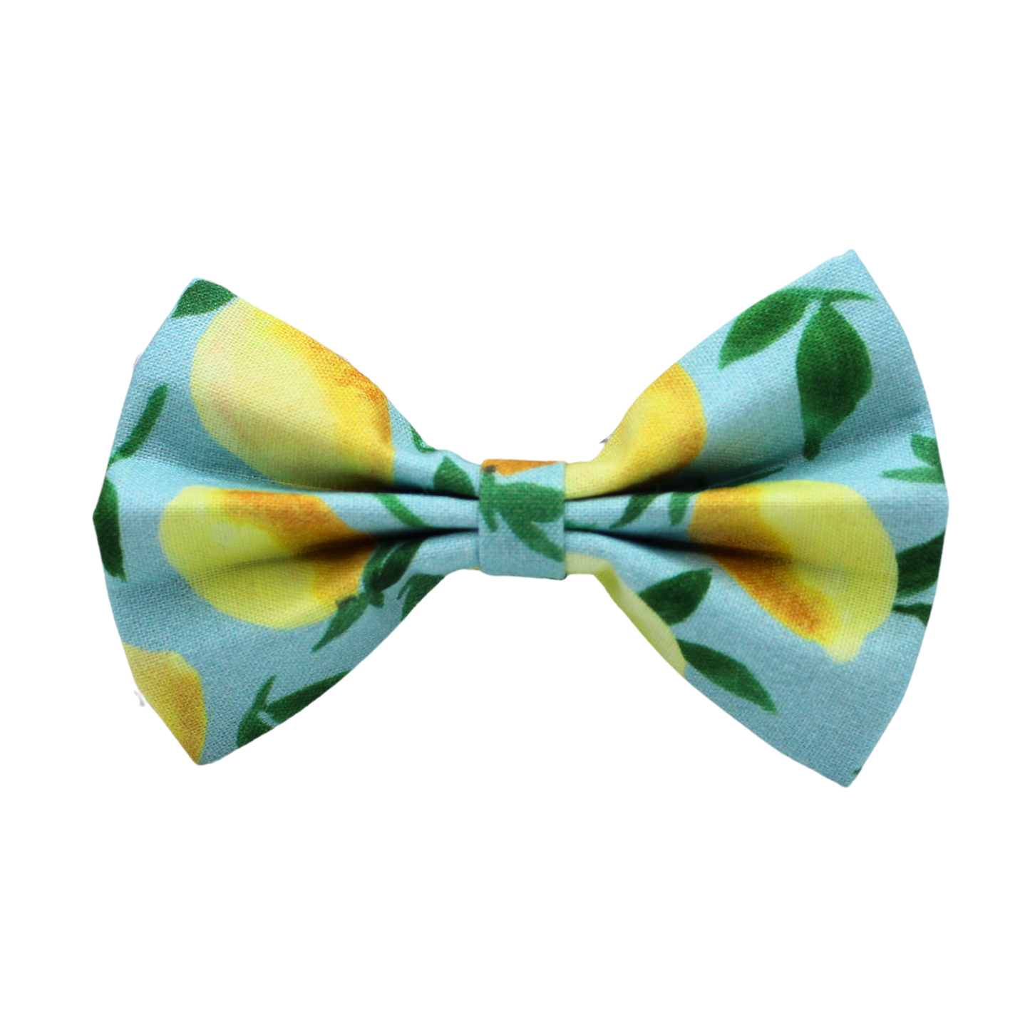 Nœud papillon « Citron melon »