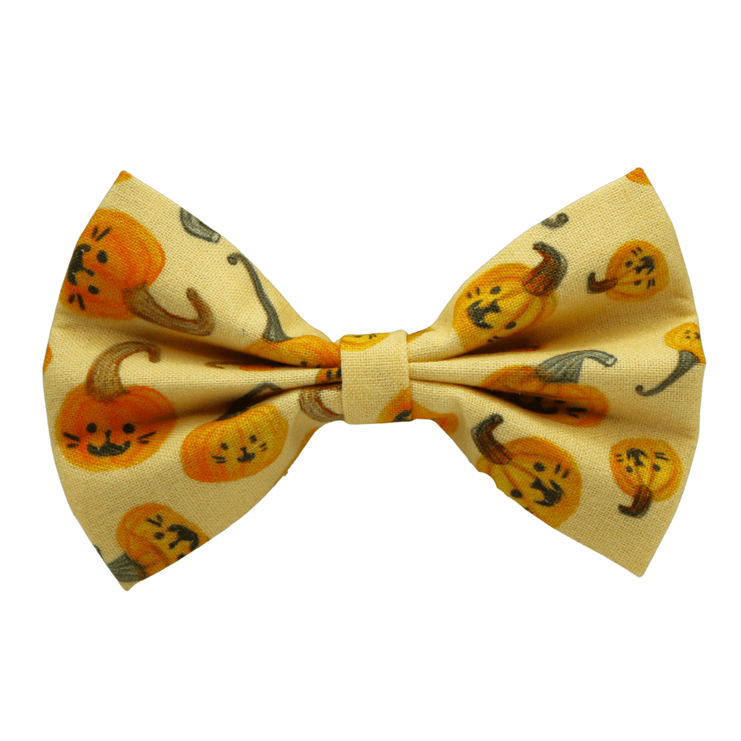 Nœud papillon « Citrouillard »