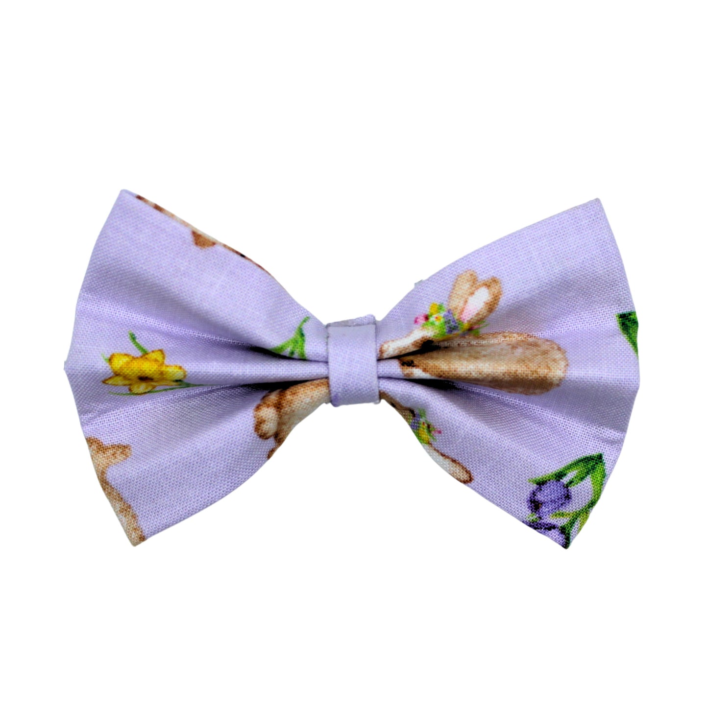 Nœud papillon « Coco »