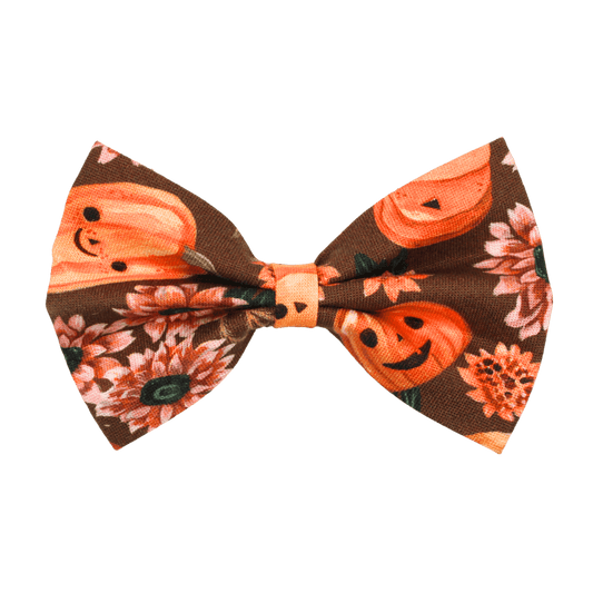 Nœud papillon « Dose d'automne »