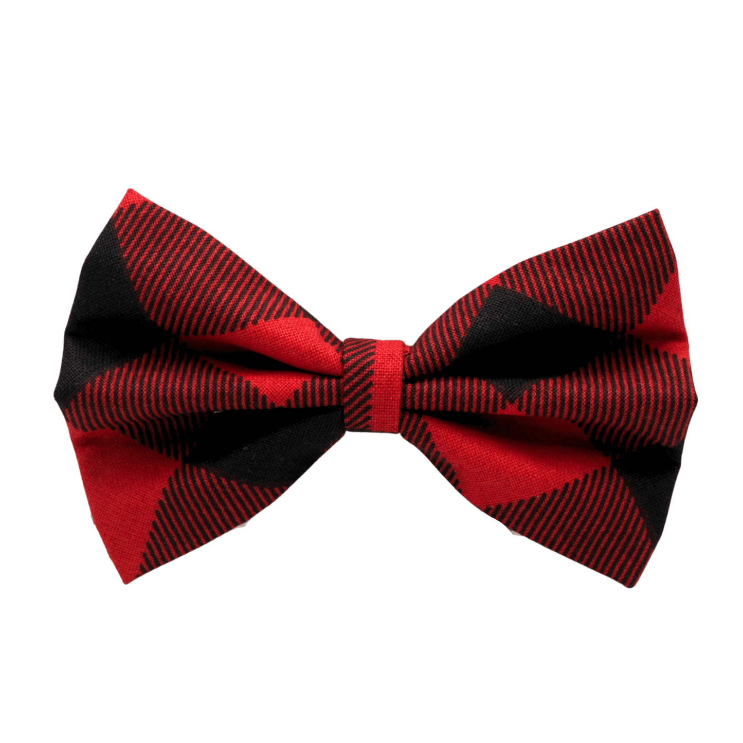 Nœud papillon « Epicéa »