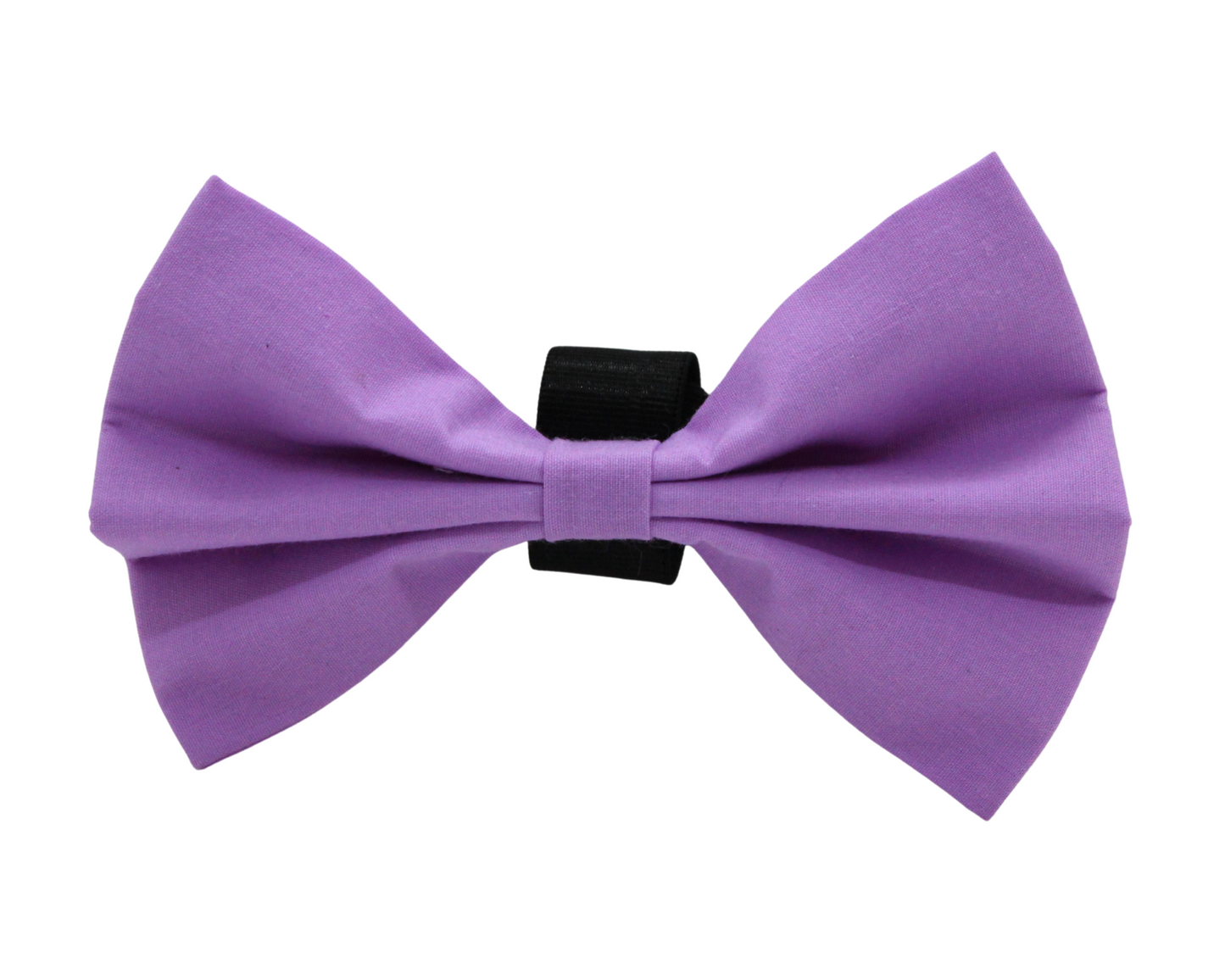 ''Lilac'' bow tie 