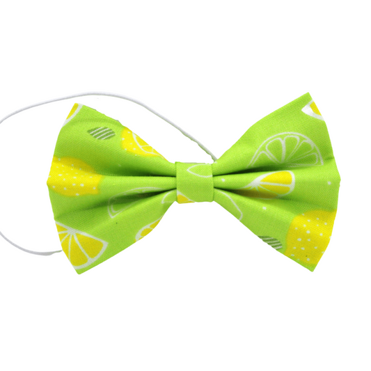Nœud papillon « Limoncello »
