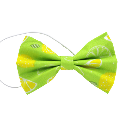 ''Limoncello'' bow tie 