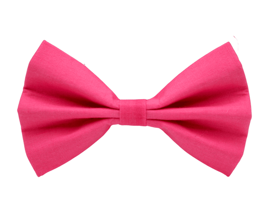 ''Watermelon'' bow tie