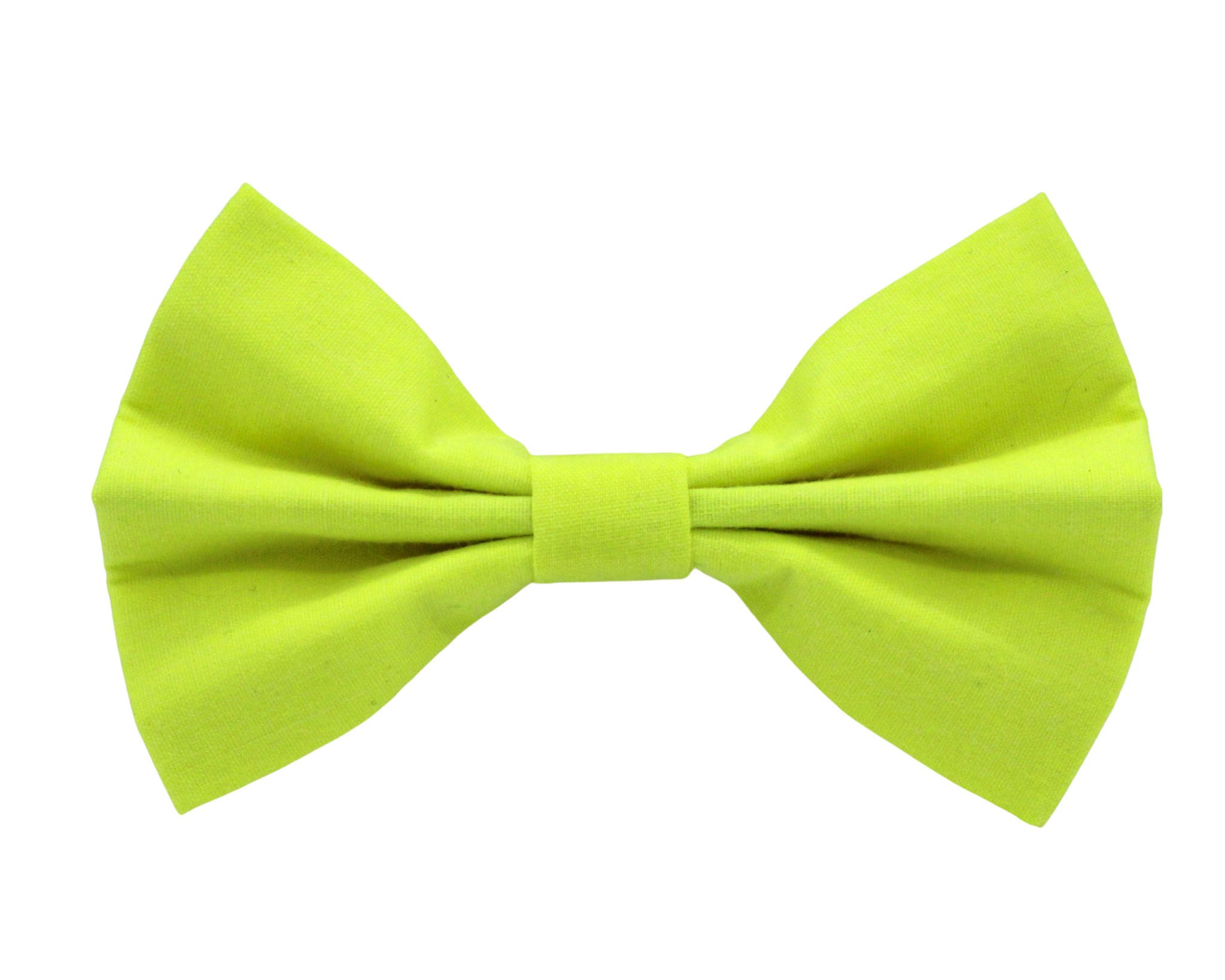 Neon bow tie Le Pet Shoppe